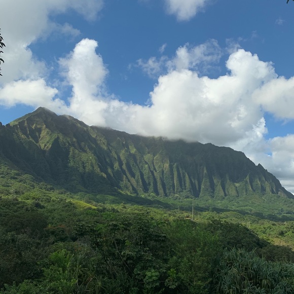 Meet your Posher, Harley - Picture 1 of 1